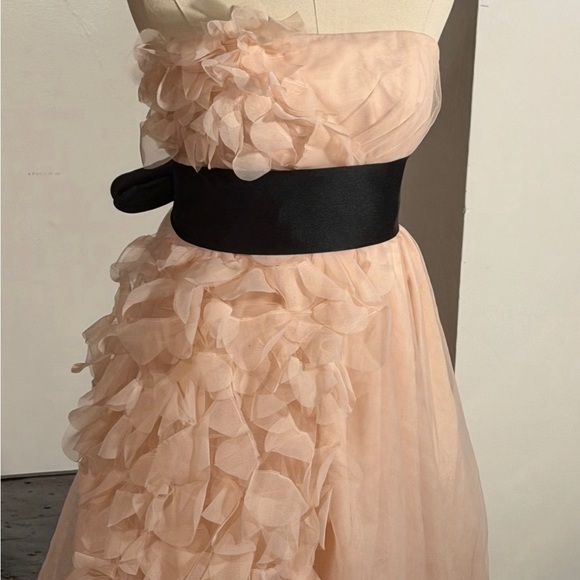 Vera Wang Dresses & Skirts - Romantic, Playful Strapless ‘Vera Wang White’ Pink Dress